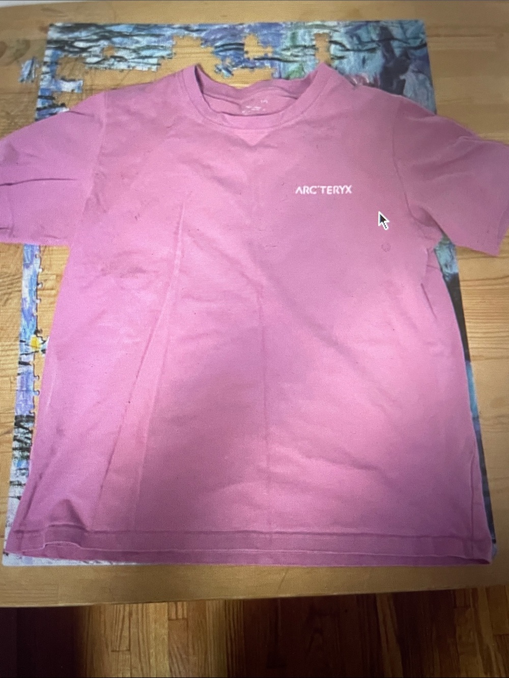 Arc'teryx Shirt